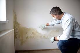 Best Mold Removal for HVAC Installations  in Wolf Point, MT